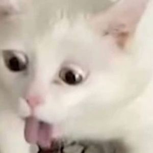 Meet your Posher, Jane